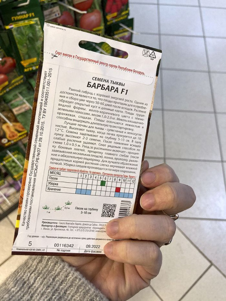 тыква Барбара F1 (уп. 5шт.) Франция